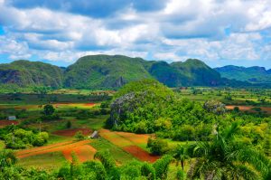 Her giver vi dig svar på spørgsmål om visum til Cuba