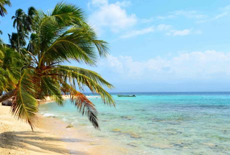 cuba-beskaaret-aflangt-svane-rejser