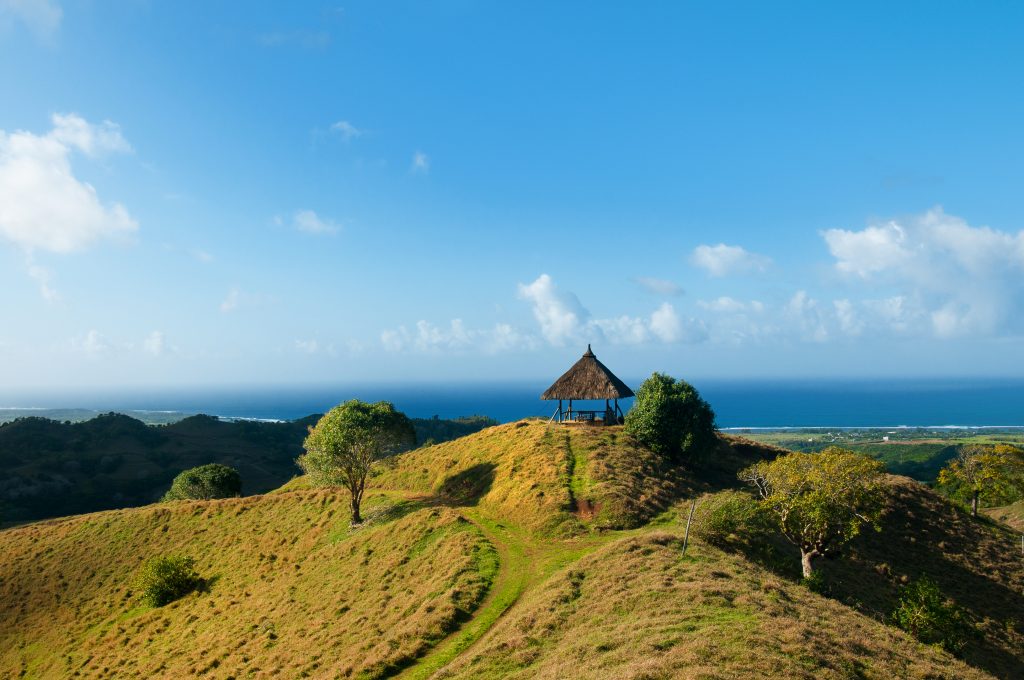 Mauritius er ikke kun strand. Inde på øen er grønt og frodigt