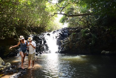 Mauritius er ikke kun strand. Inde på øen er grønt og frodigt