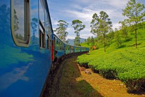 På en rejse til Sri Lanka kan du køre med tog igennem højlandets temarker