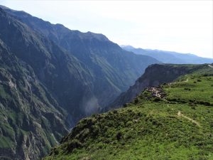 På rejser til Peru kan du se kondorer i Condors Cross