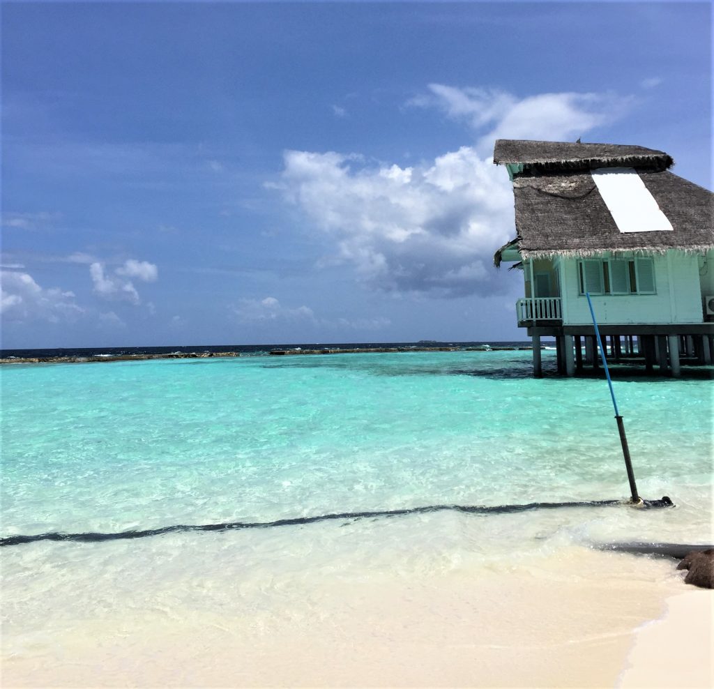 Strand ved turkis hav på Maldiverne