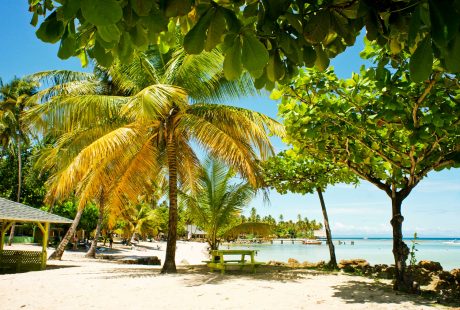 svane-rejser-cuba-palmer-strand-hav