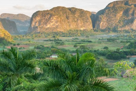 svane-rejser-cuba-vinales-natur