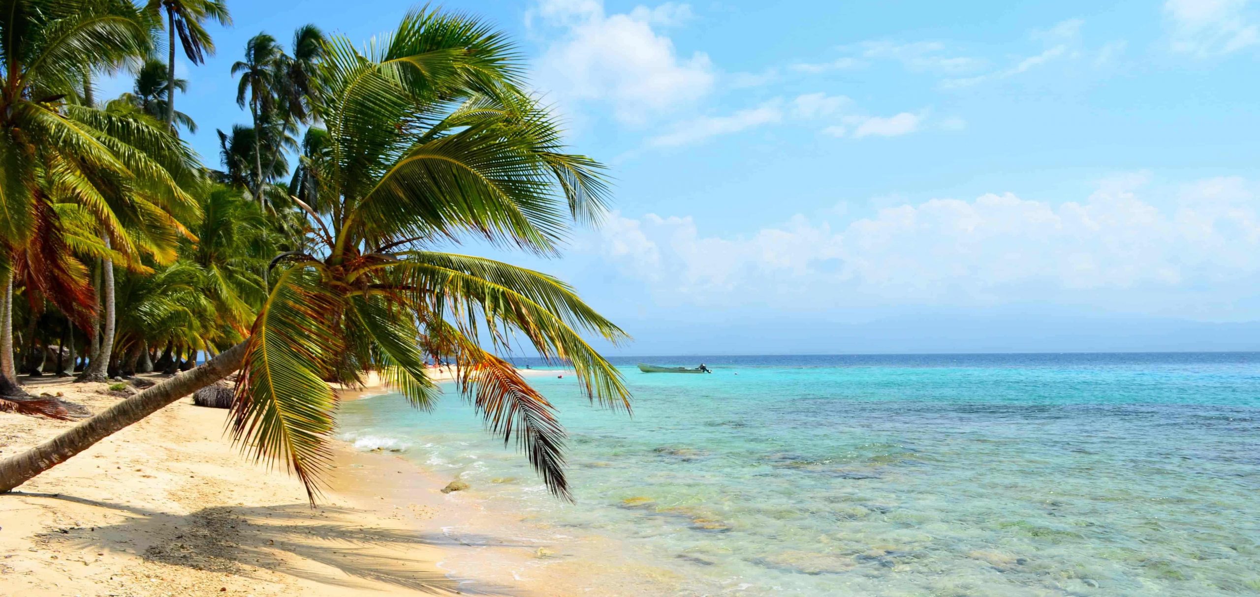 tag-med-til-cuba-beskaaret-aflangt-svane-rejser