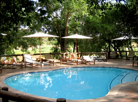 sydafrika-mpala-swimming-pool