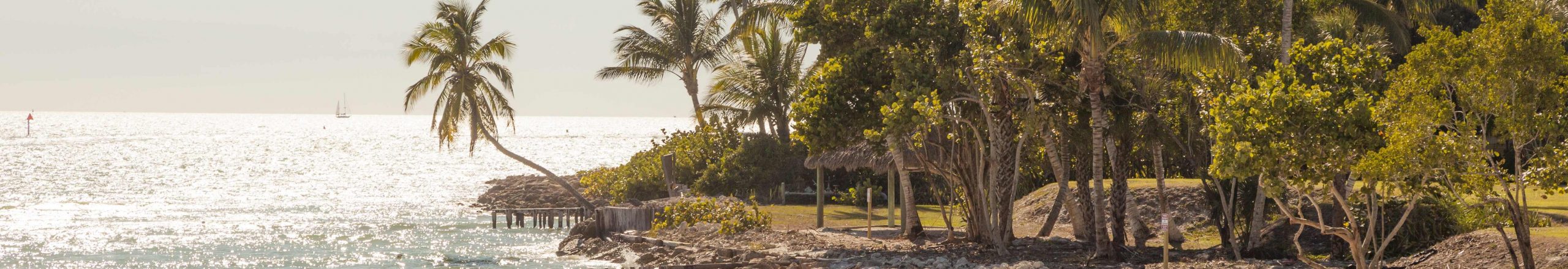 svane-rejser-mexico-strande-havet-palmer