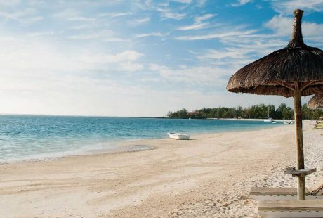 svane-rejser-mauritius-strand-palme-liggestol