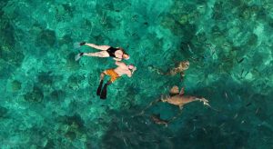 maldiverne-svoemme-med-delfiner