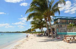 Svane Rejser Cuba PLaya Larga