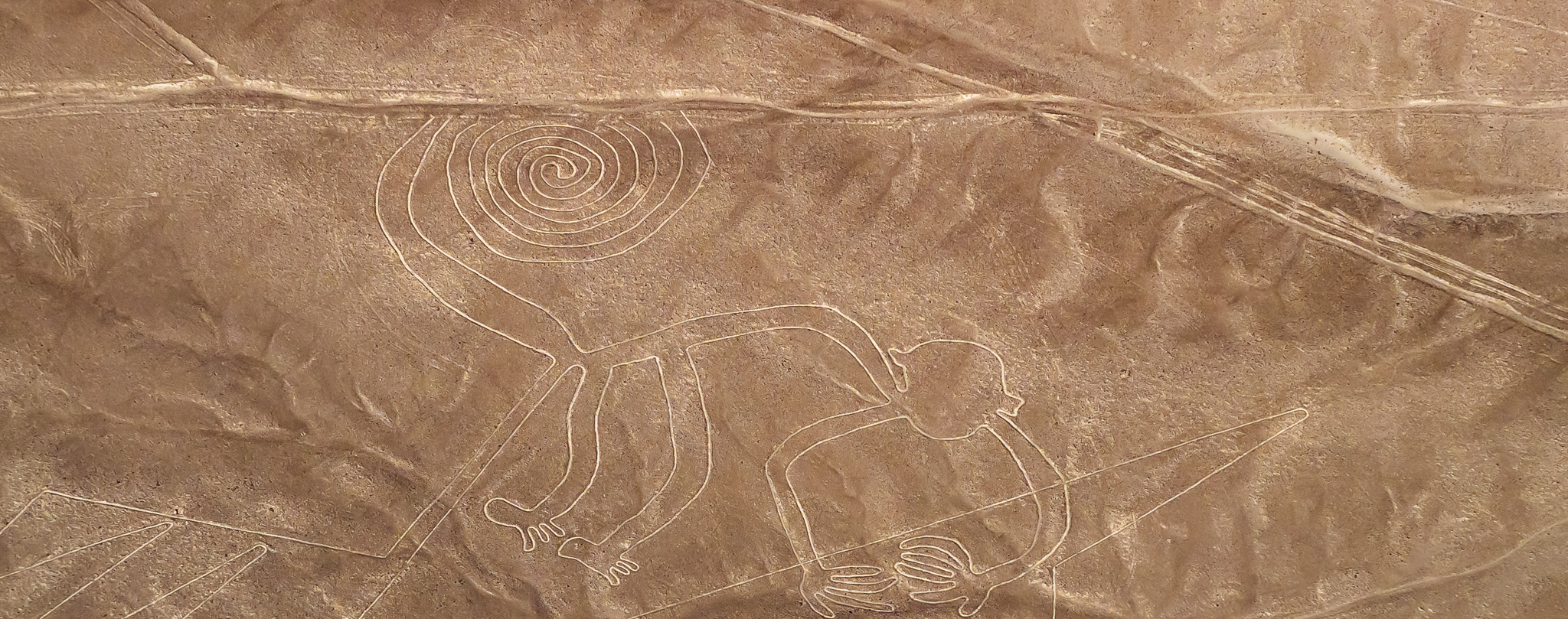 svane-rejser-peru-nazca-oerkentegninger-aben