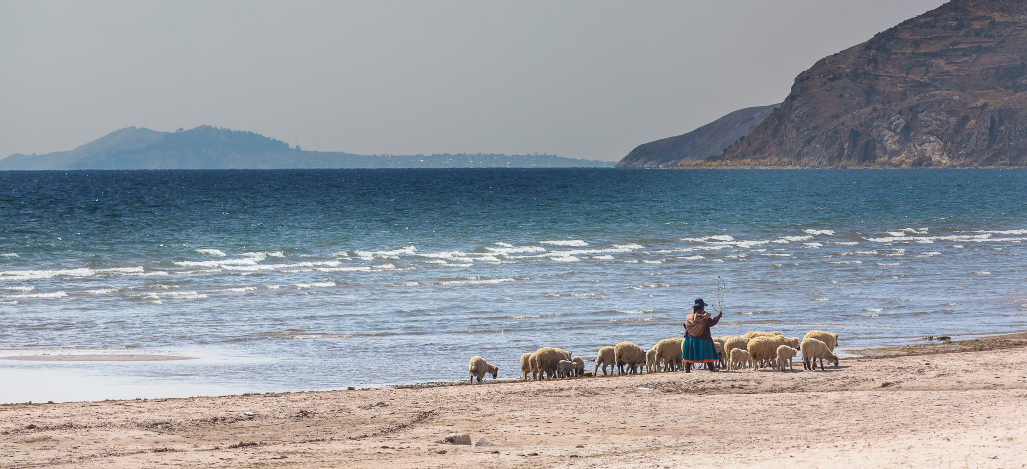 svane-rejser-peru-titicaca-soeen-alpaca-faar-2