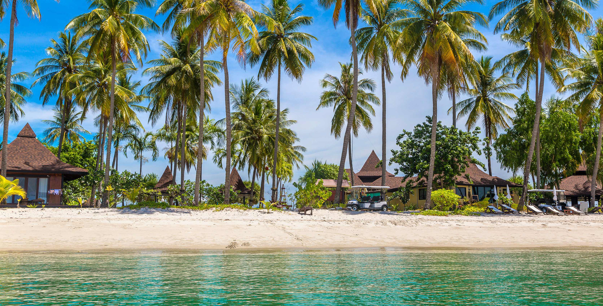 svane-rejser-mauritius-strand-palmer-2