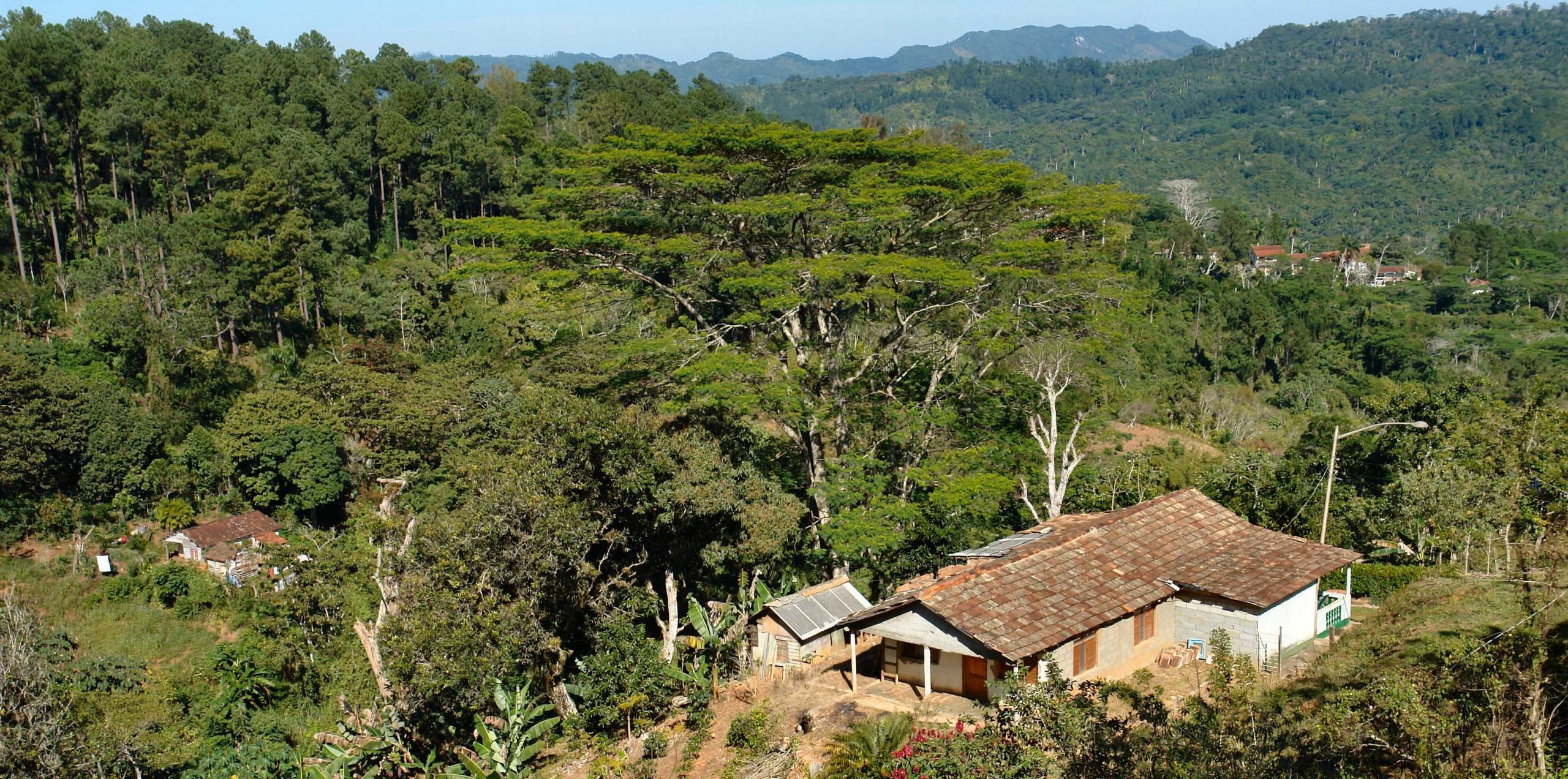 svane-rejser-cuba-topes-de-collantes
