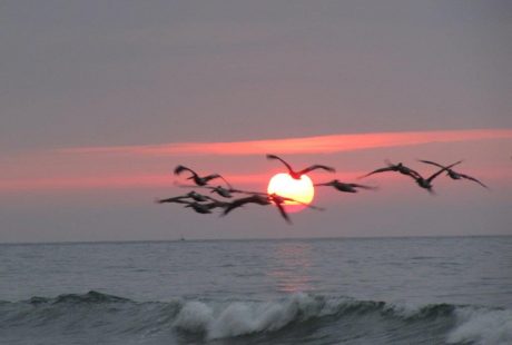 peru-stillehavet-mancora-solnedgang