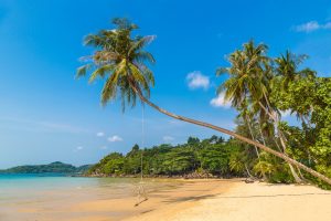 svane-rejser-sri-lanka-strand-palme