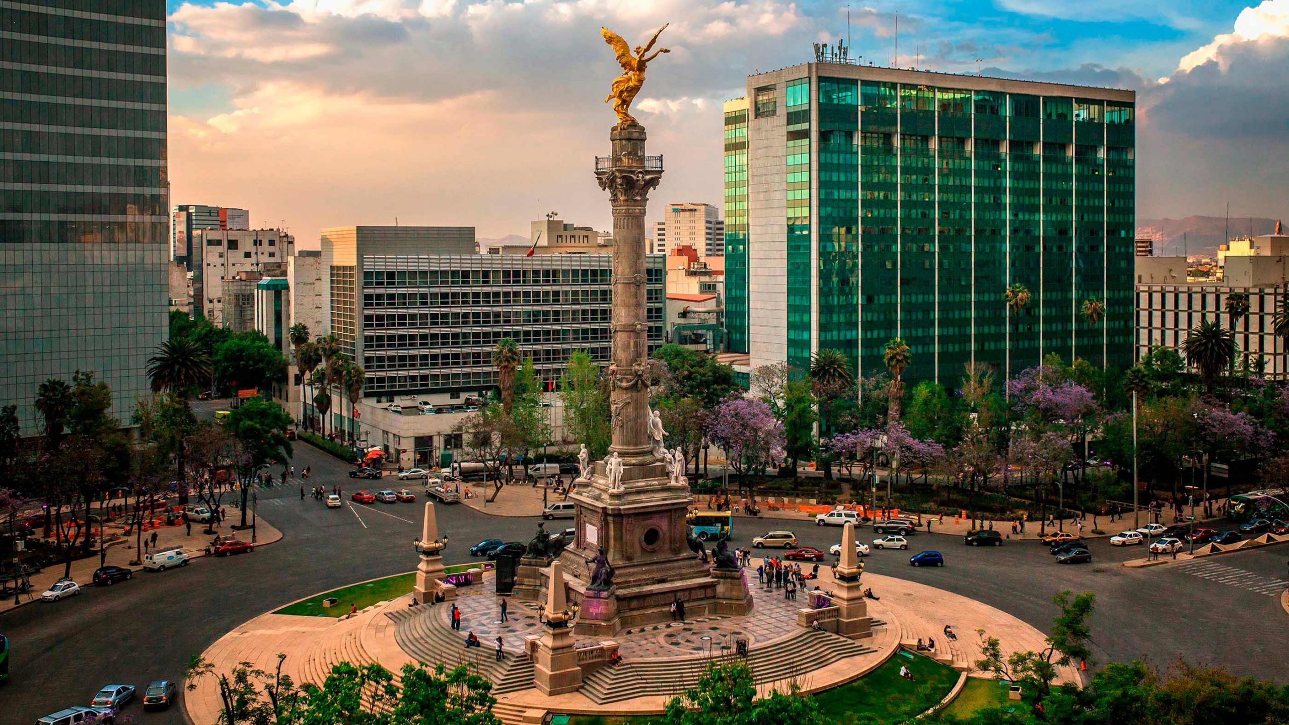 mexico-city-svane-rejser-angel